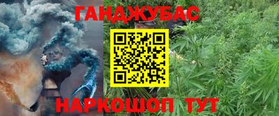крисы Конаково